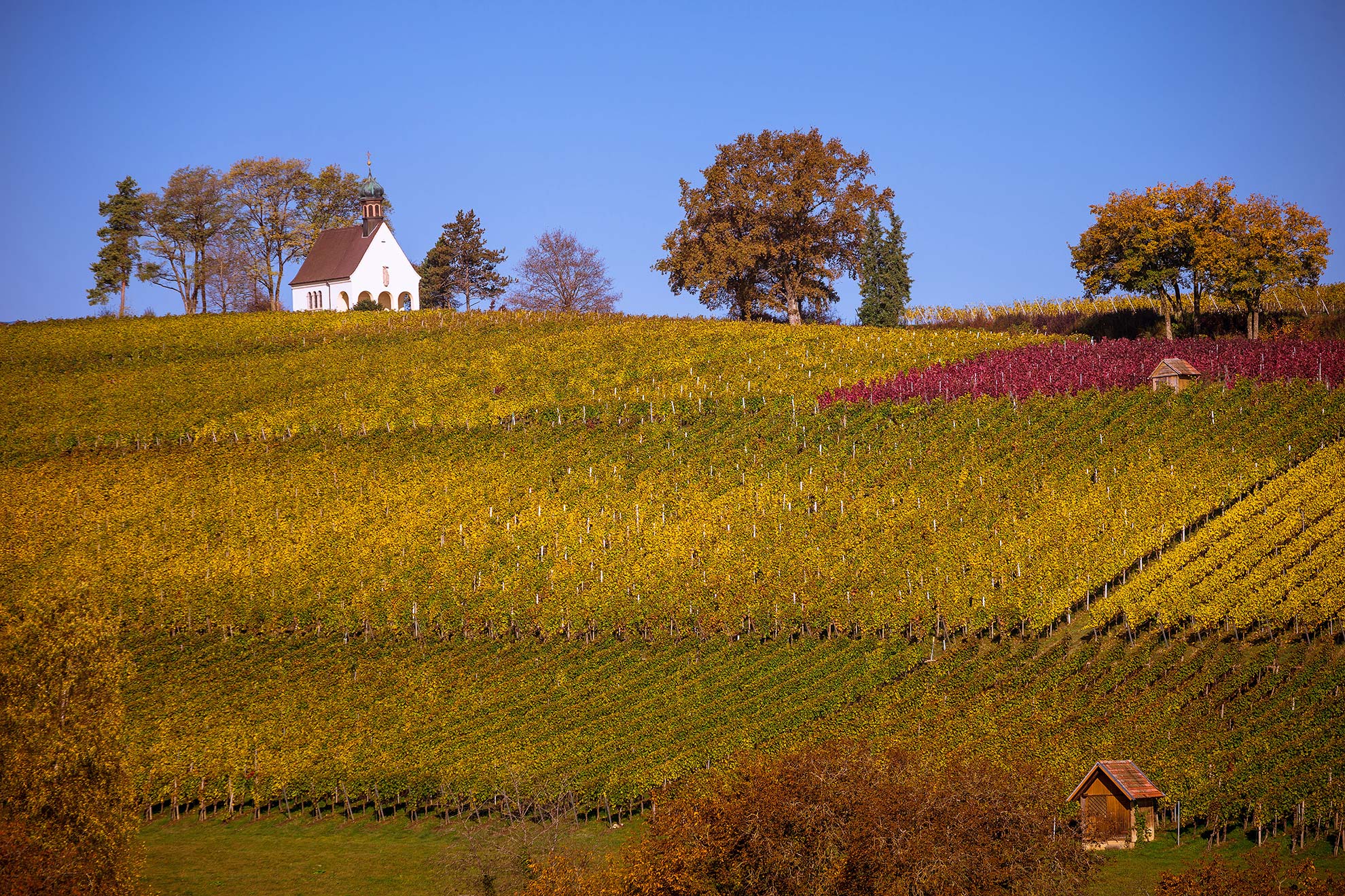 clauss_0119_web.jpg