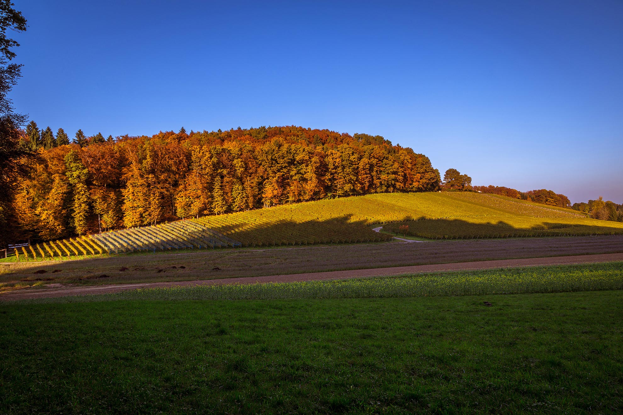 clauss_0180_web.jpg