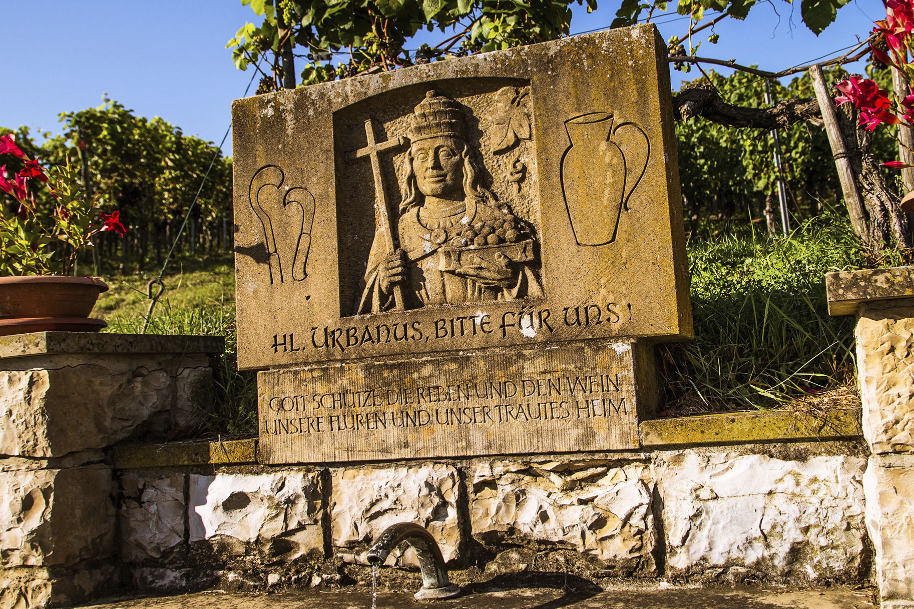 clauss_weingut_erzingen_kapellenberg.jpg